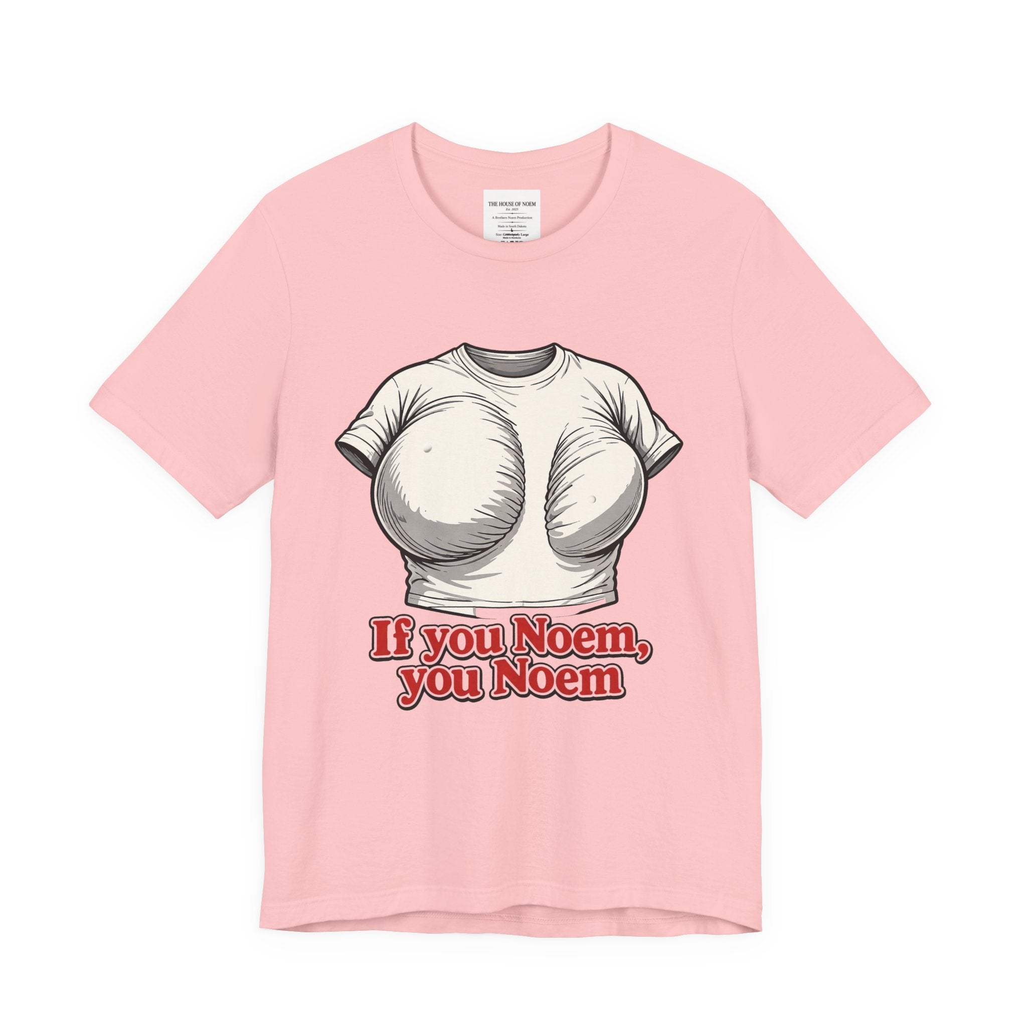 If You Noem